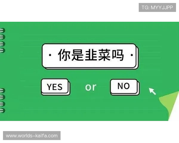 凯发手机登录安全指南帮助用户顺利登录体验更佳